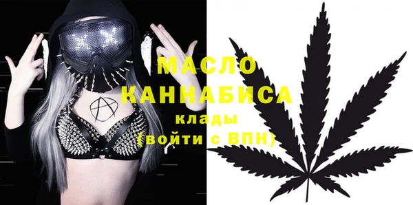 spice Дмитриев