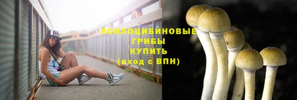 mix Гусь-Хрустальный