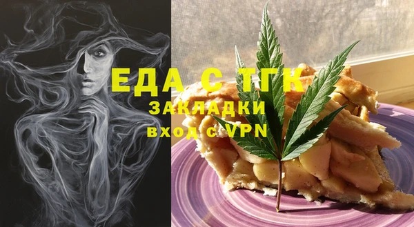 spice Дмитриев