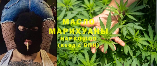 spice Дмитриев