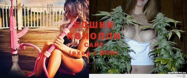 СК Ельня