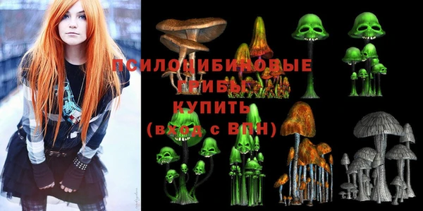 ALPHA PVP Гусев