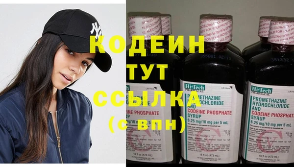 spice Дмитриев
