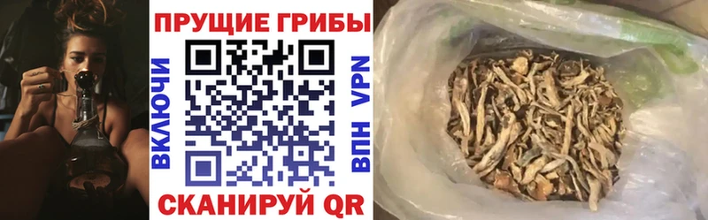 blacksprut как зайти  Вихоревка  Галлюциногенные грибы мухоморы  закладки 